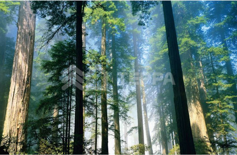 Маслово парк