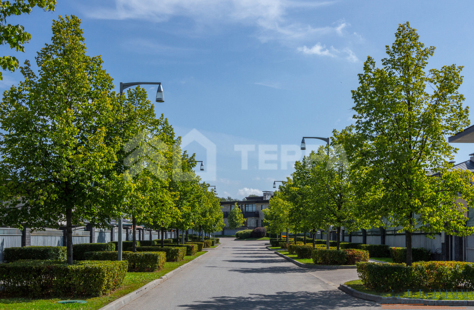 Объект ID 11388 - Дом