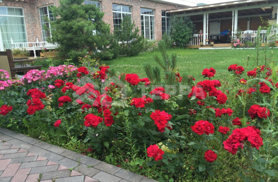 Объект ID 18223 - Дом