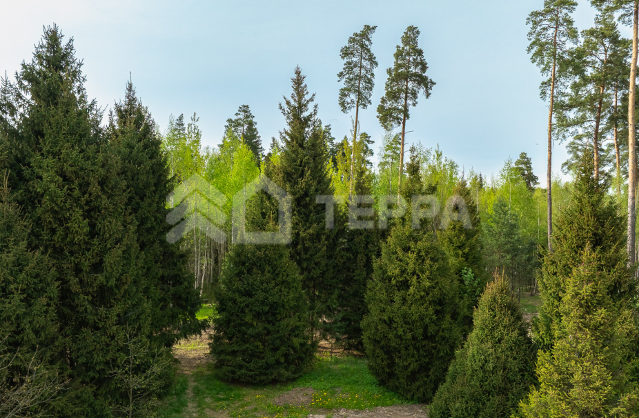 Объект ID 18567 - Участок