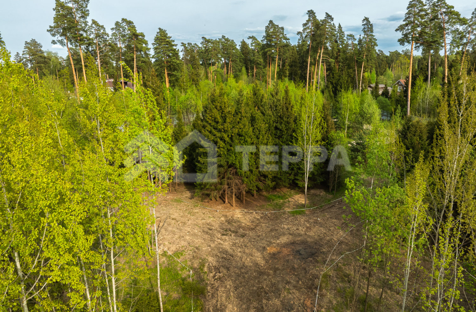 Объект ID 18570 - Участок