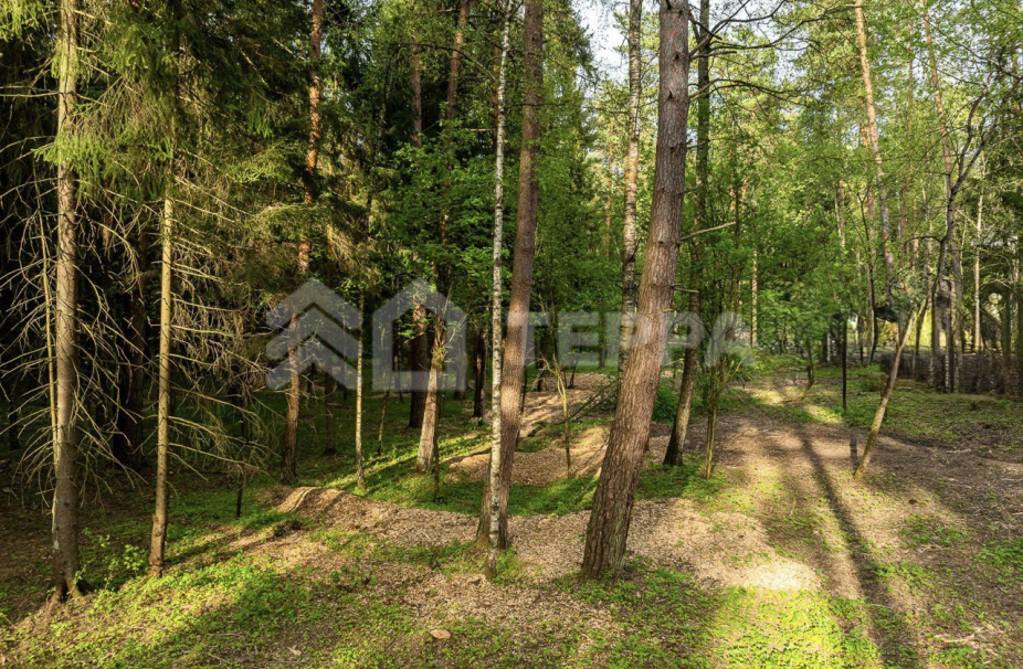 Объект ID 19096 - Участок