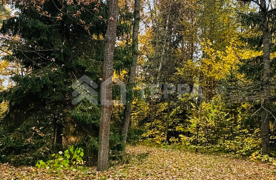 Объект ID 18992 - Участок