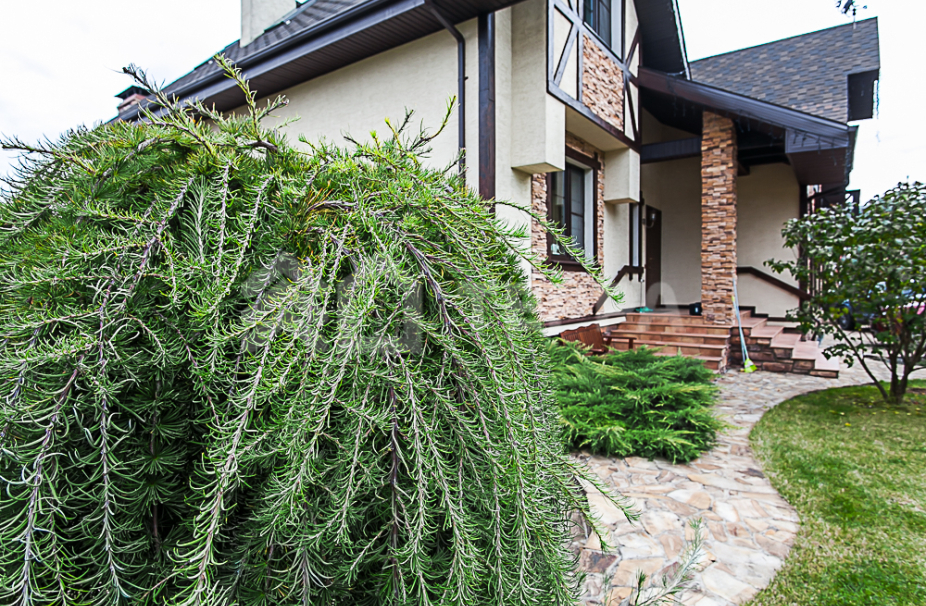 Объект ID 17483 - Дом