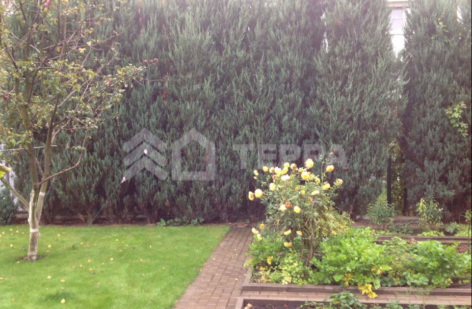 Объект ID 14428 - Таунхаус