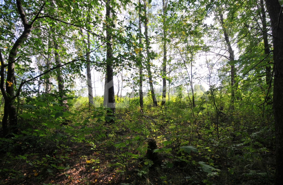 Объект ID 9720 - Участок