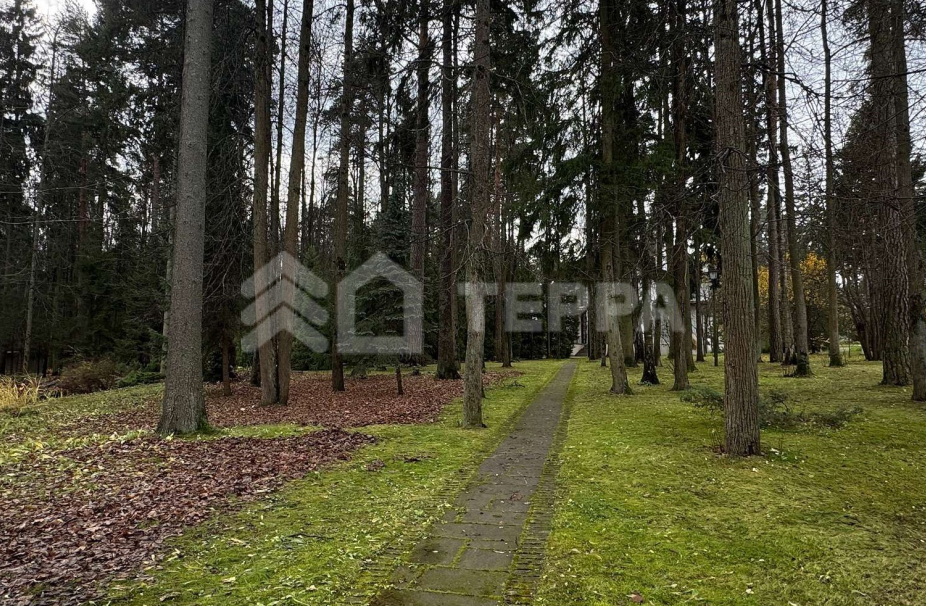 Объект ID 19034 - Участок