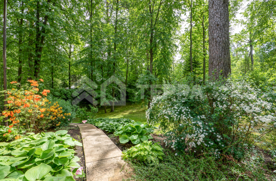 Объект ID 8224 - Дом