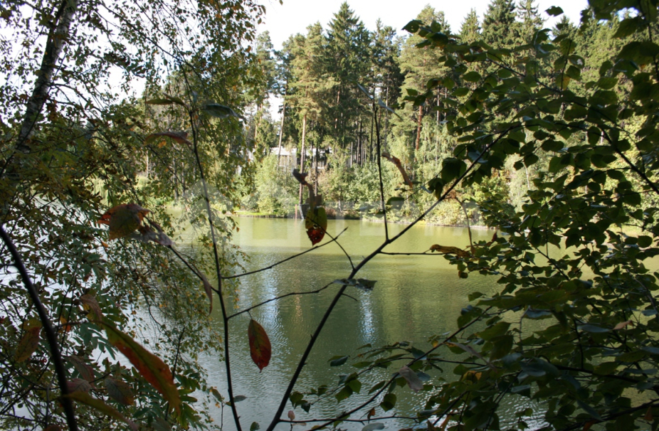 Объект ID 18698 - Участок