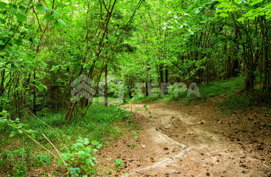 Объект ID 17389 - Участок