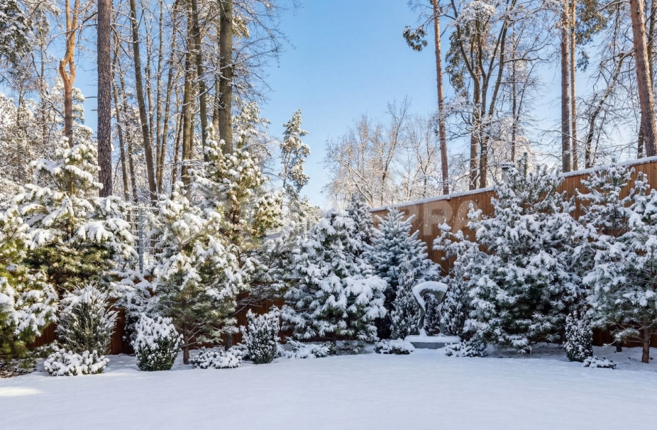 Объект ID 18876 - Дом