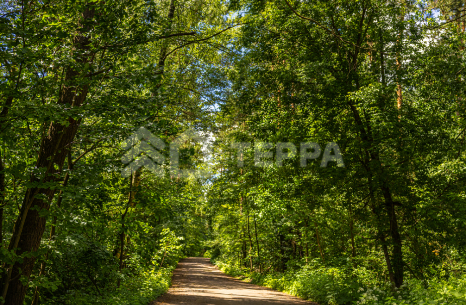 Объект ID 10579 - Участок