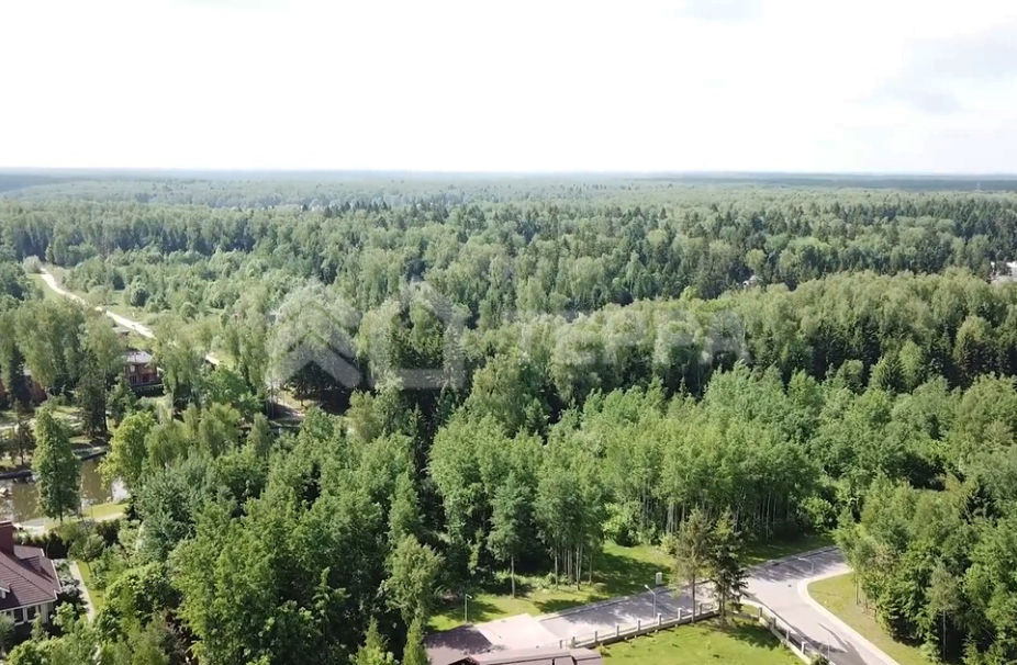 Ваутутинки