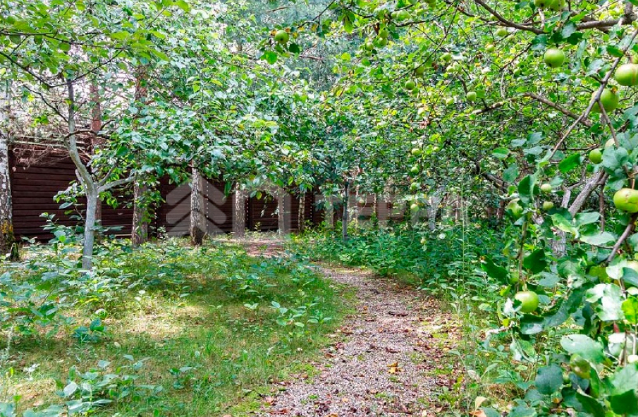 Объект ID 8822 - Дом