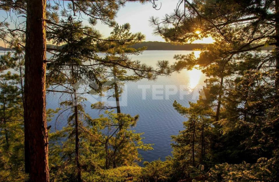 Объект ID 18340 - Участок