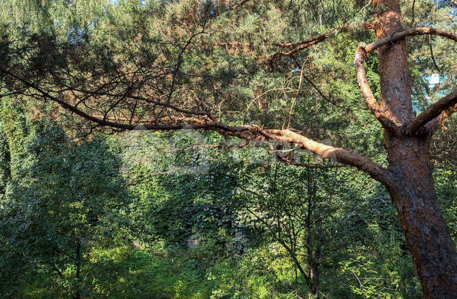 Объект ID 18751 - Участок