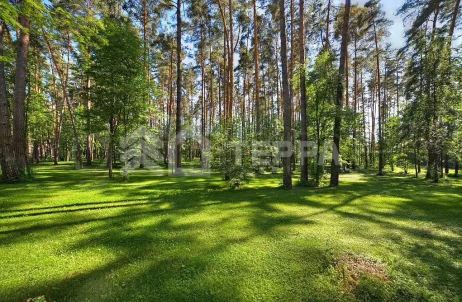 Объект ID 18763 - Участок