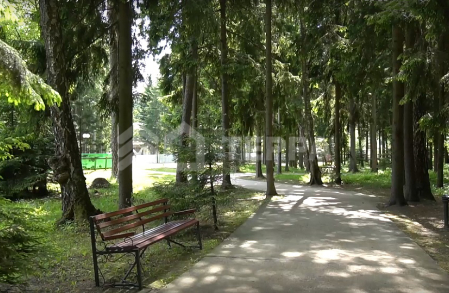 Ваутутинки