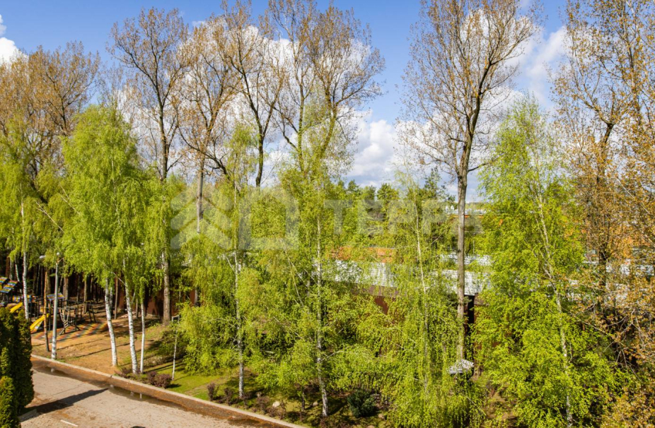 Объект ID 18984 - Участок