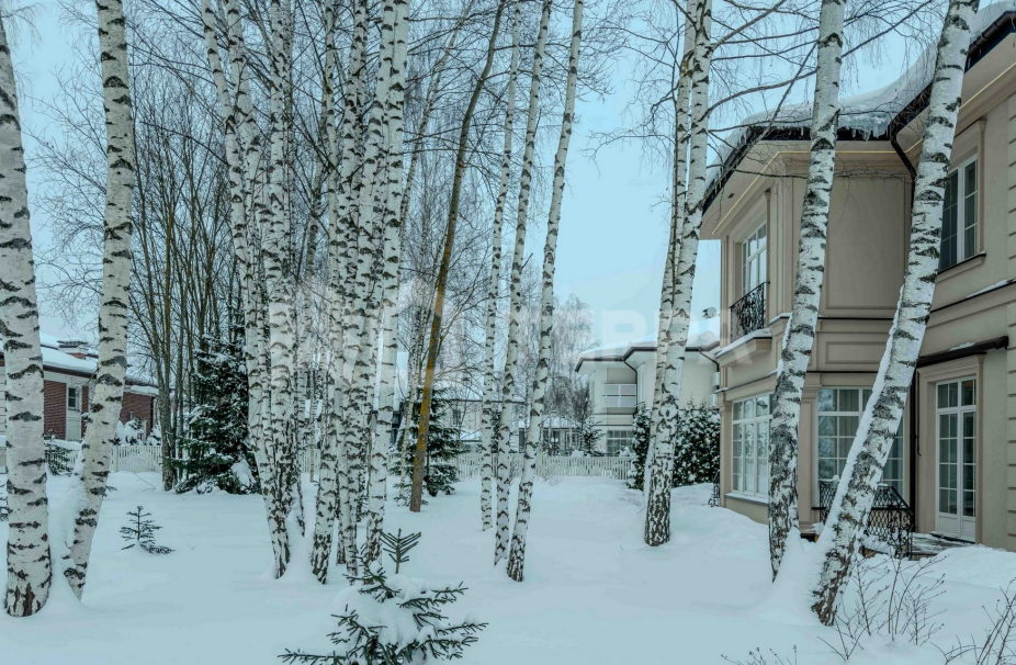 Объект ID 19086 - Дом