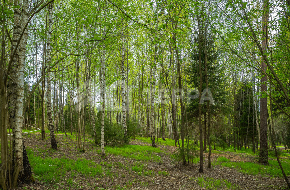 Объект ID 18487 - Участок