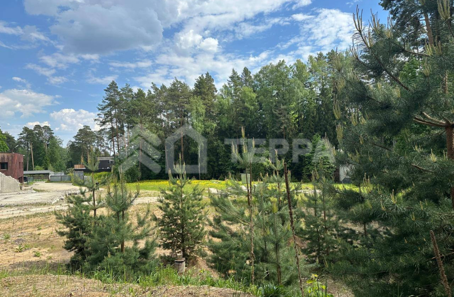 Объект ID 18976 - Участок