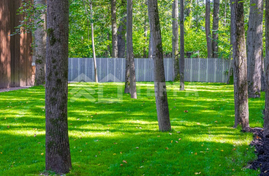 Объект ID 18848 - Дом