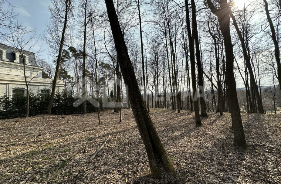 Объект ID 18453 - Участок