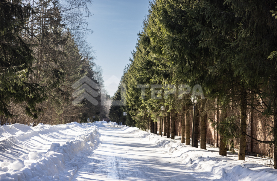 Объект ID 17973 - Участок