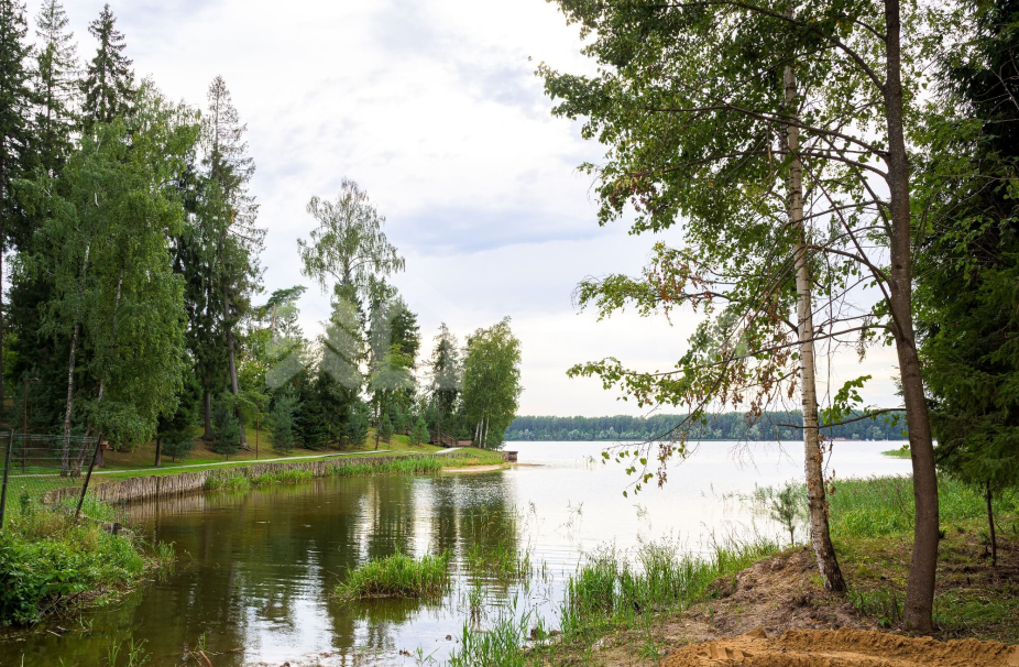 Объект ID 18046 - Участок