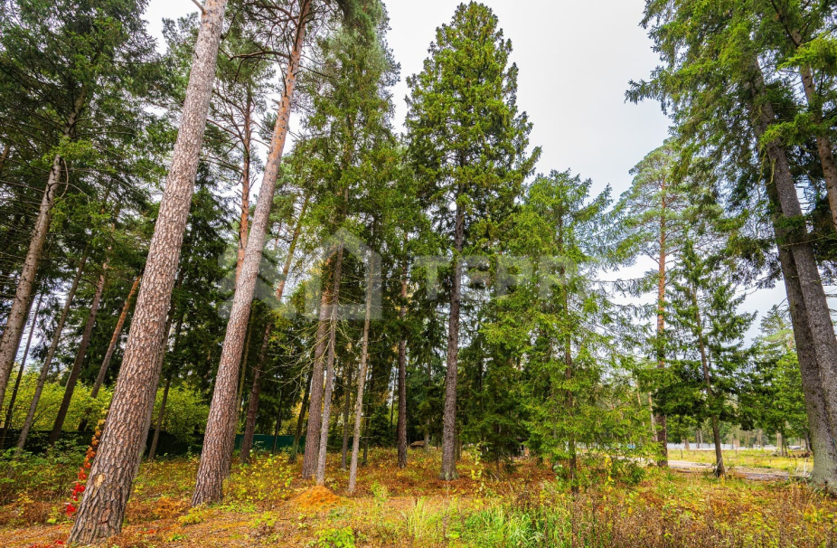 Объект ID 17673 - Участок