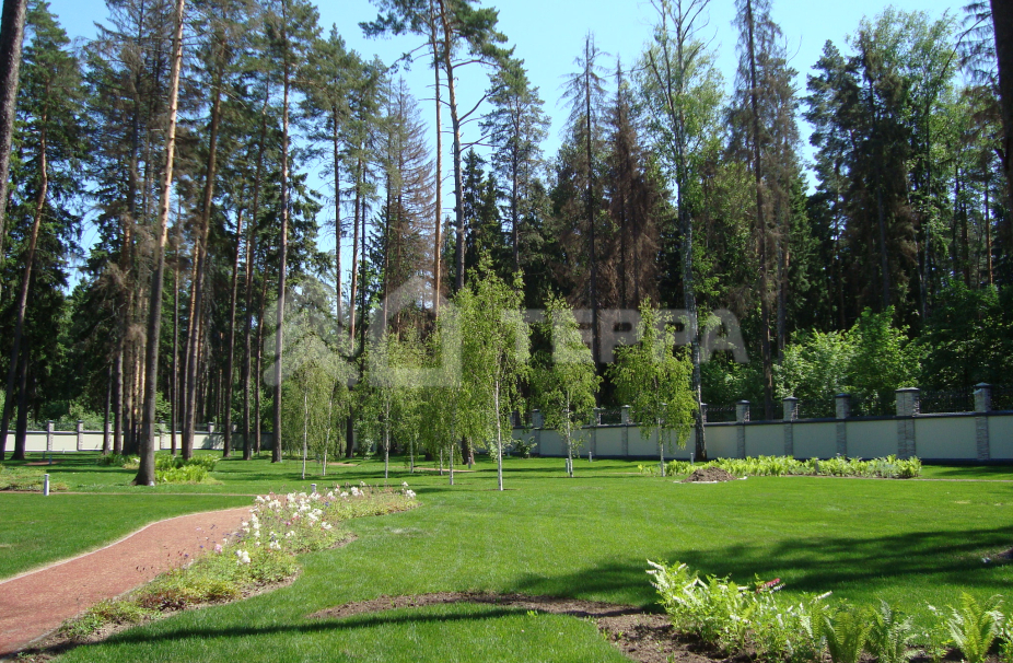 Объект ID 11151 - Дом