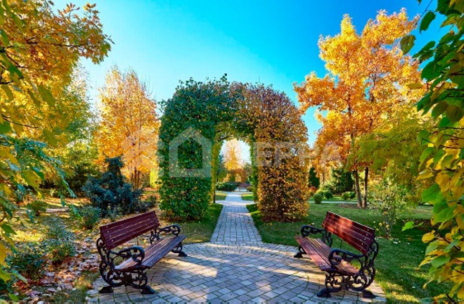 Объект ID 18649 - Дом