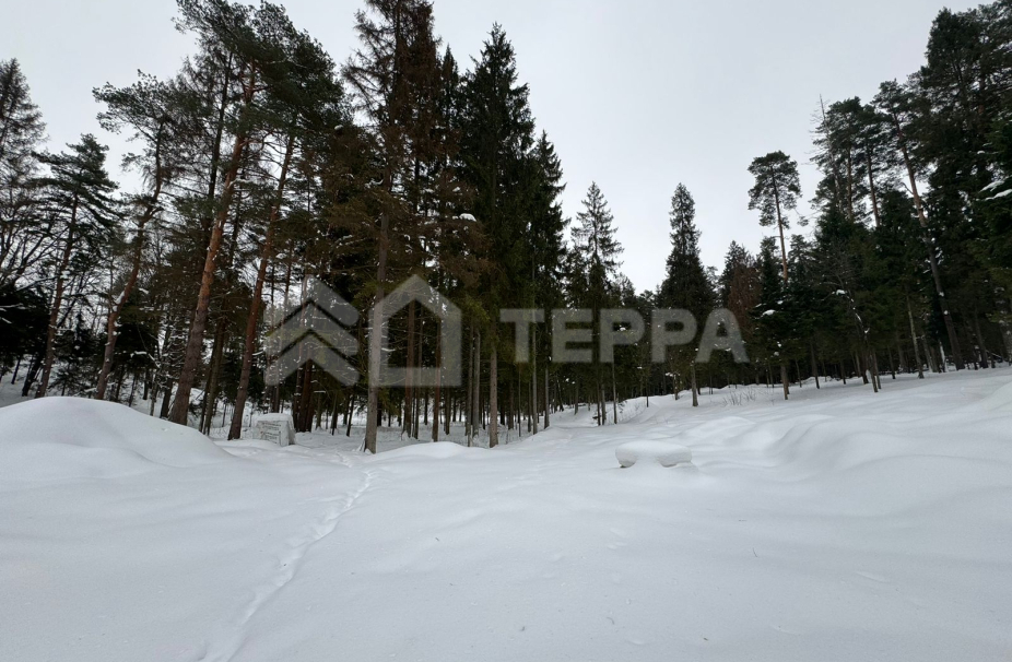 Объект ID 17911 - Участок