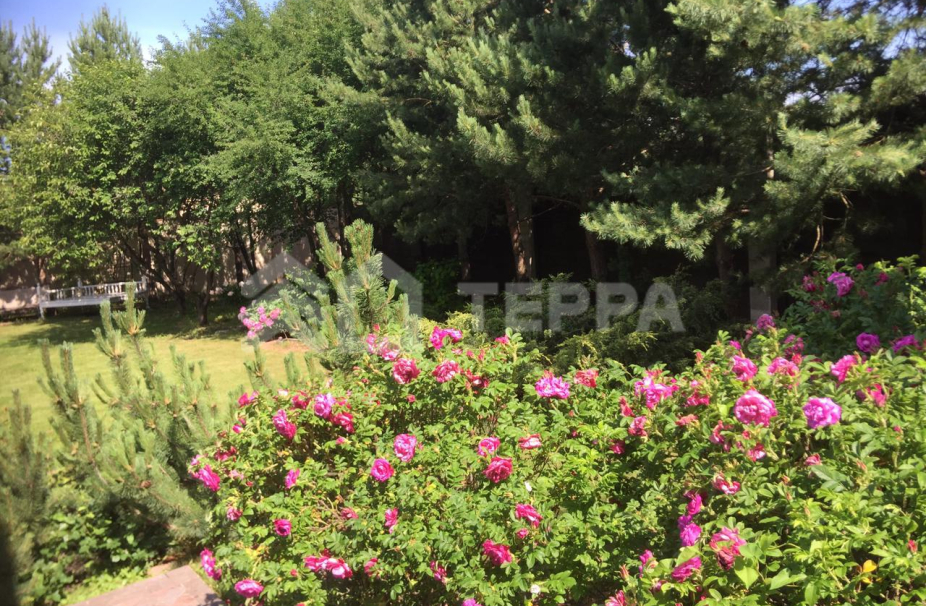 Объект ID 18223 - Дом