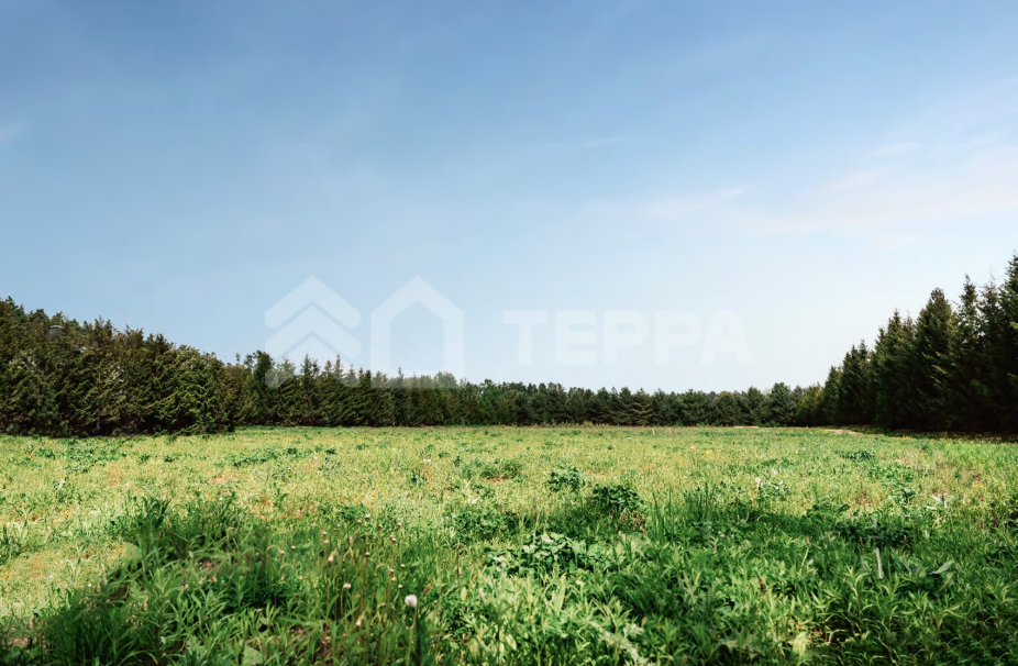 Объект ID 18686 - Участок