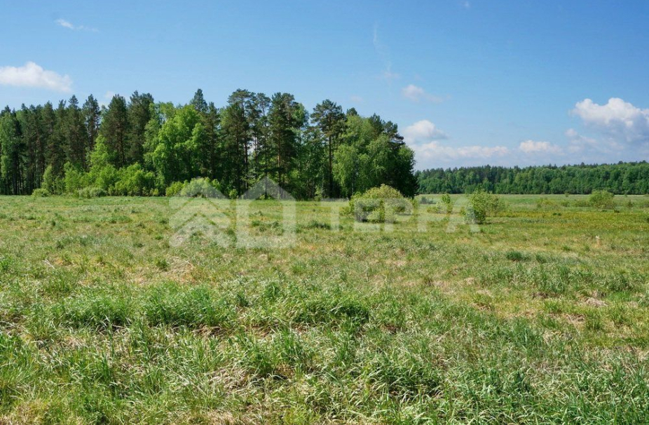 Объект ID 16726 - Участок