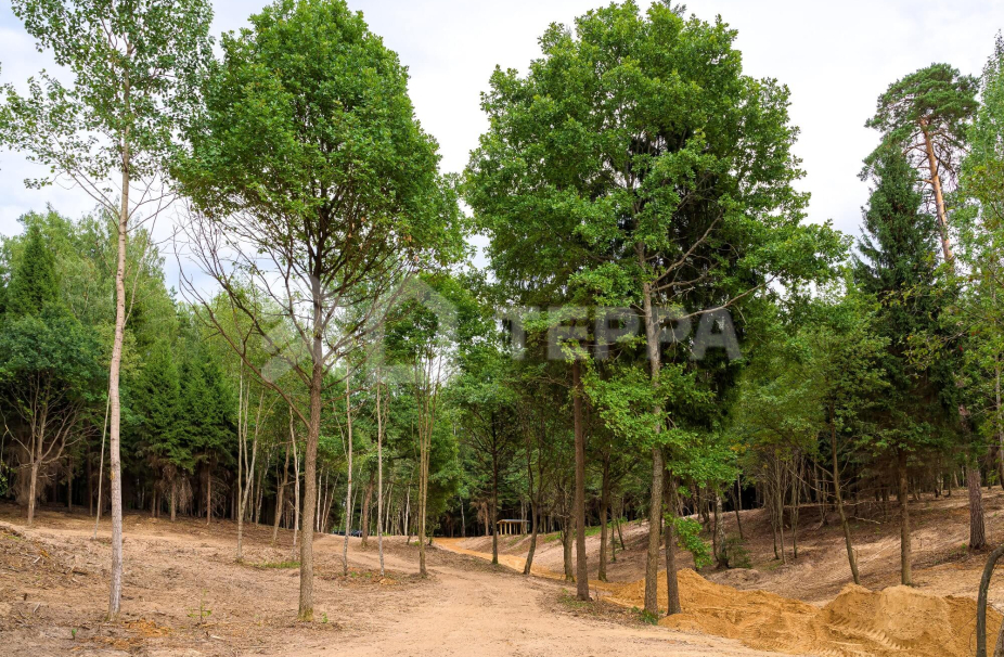 Объект ID 18167 - Участок