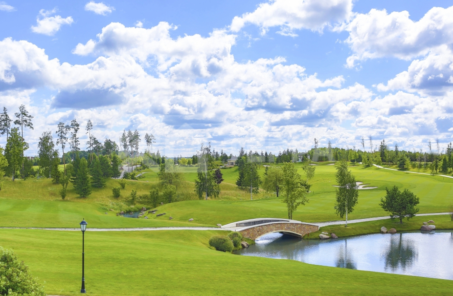 Объект ID 18421 - Участок