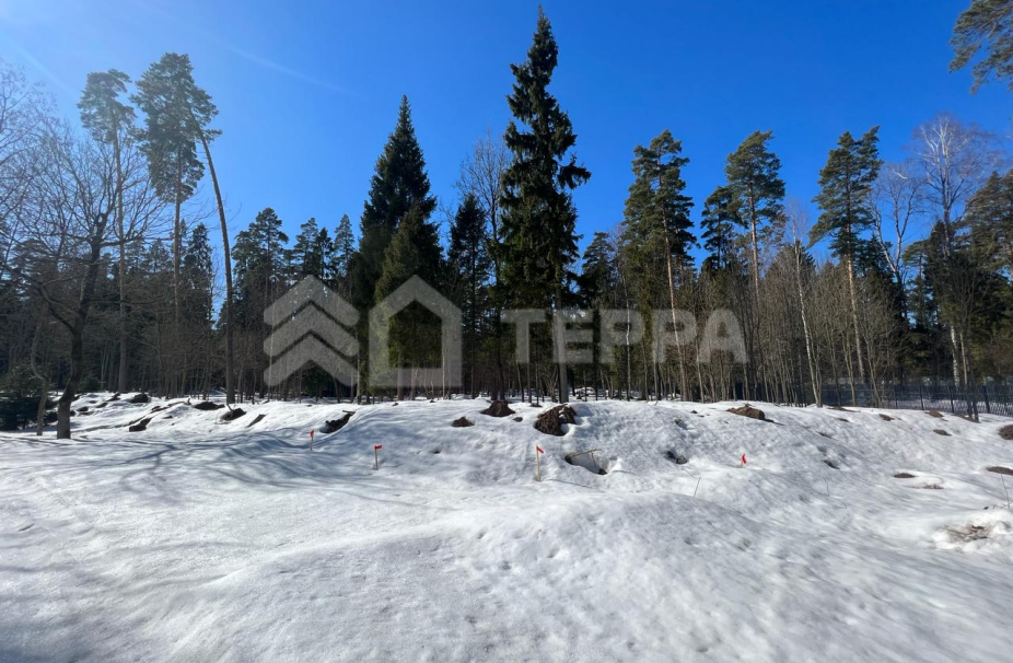 Никологорский парк