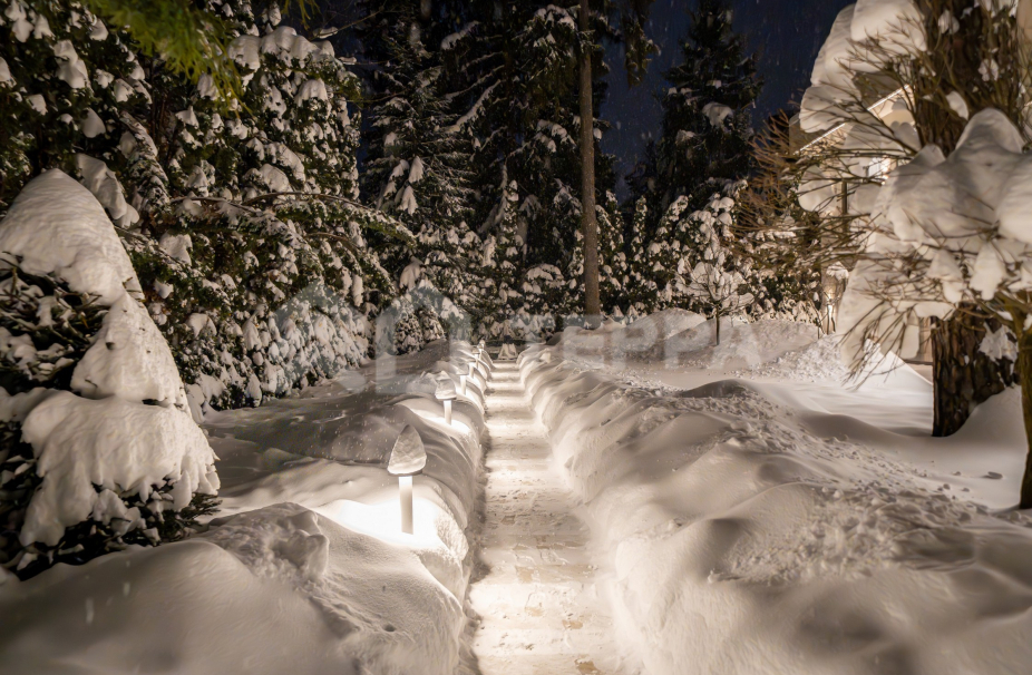 Объект ID 19122 - Дом