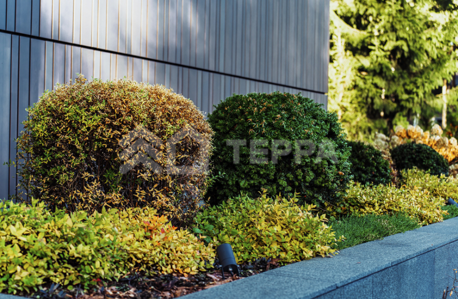 Объект ID 19037 - Дом