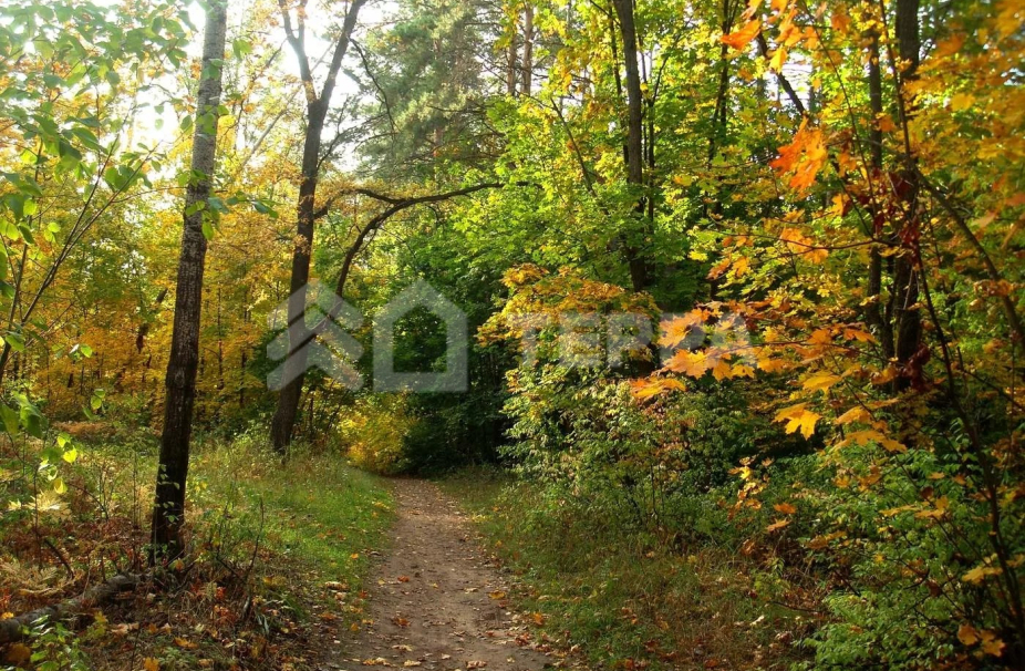 Объект ID 18993 - Участок