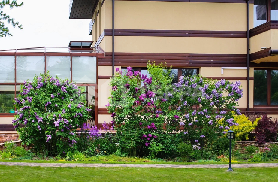 Объект ID 17552 - Дом