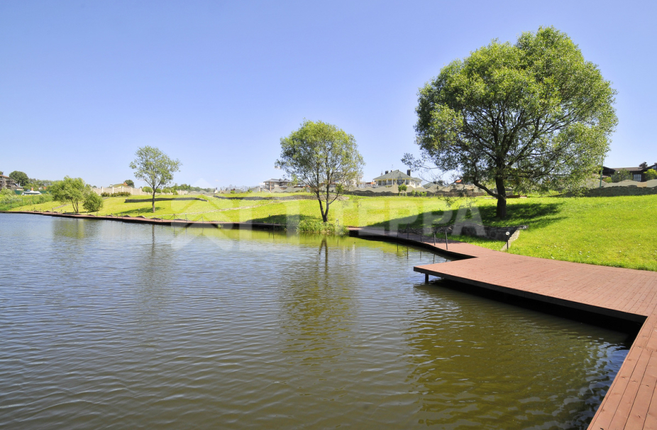 Третья Охота