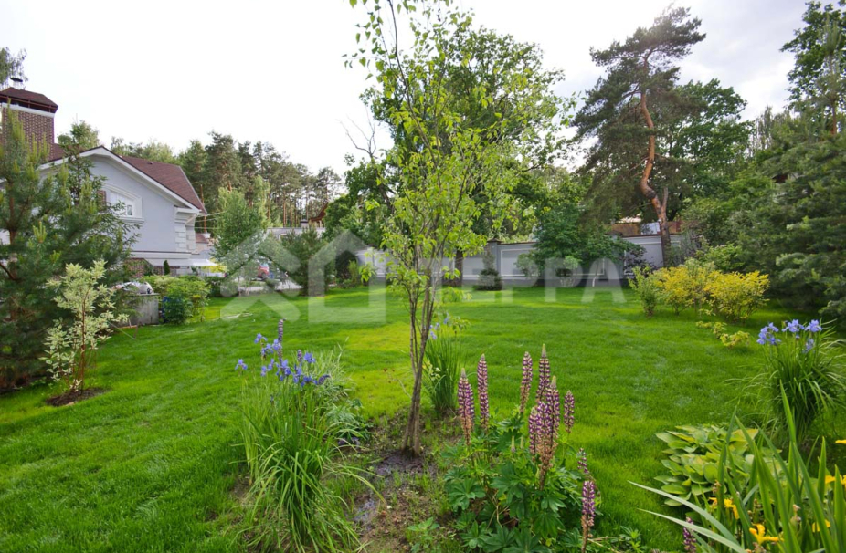 Объект ID 11563 - Дом