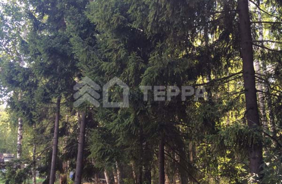 Объект ID 14212 - Дом