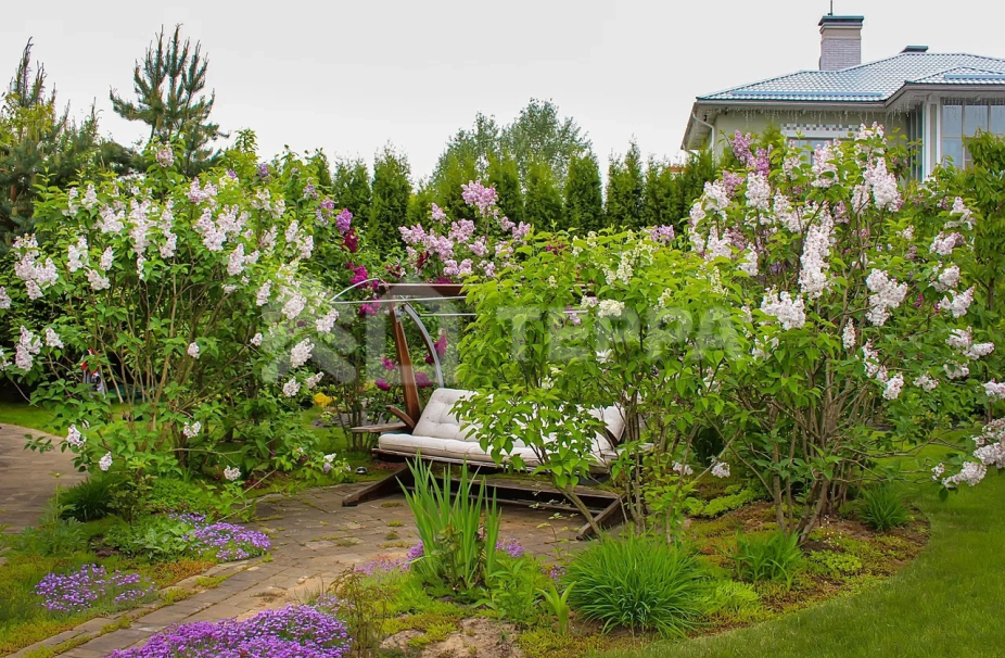 Объект ID 17552 - Дом