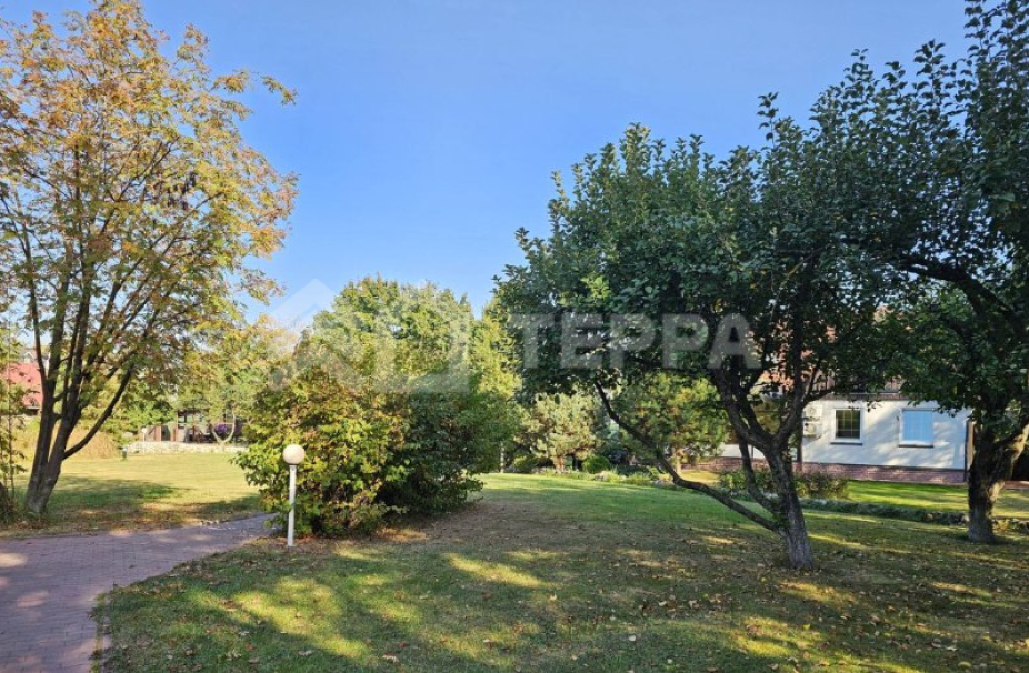 Объект ID 18847 - Участок