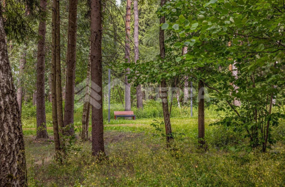 Объект ID 19099 - Участок